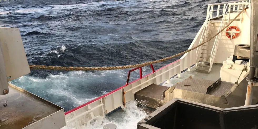 - Utsiktene til et godt anchovetas-fiskeri i Peru, kan holde prisene på fiskemel nede fremover, sier analytiker Gunn Strandheim i Kontali Analyse. Illustrasjonsfoto: Kjersti Sandvik