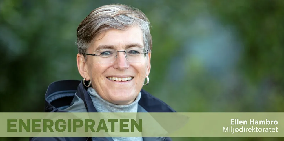 Ellen Hambro, direktør i Miljødirektoratet.