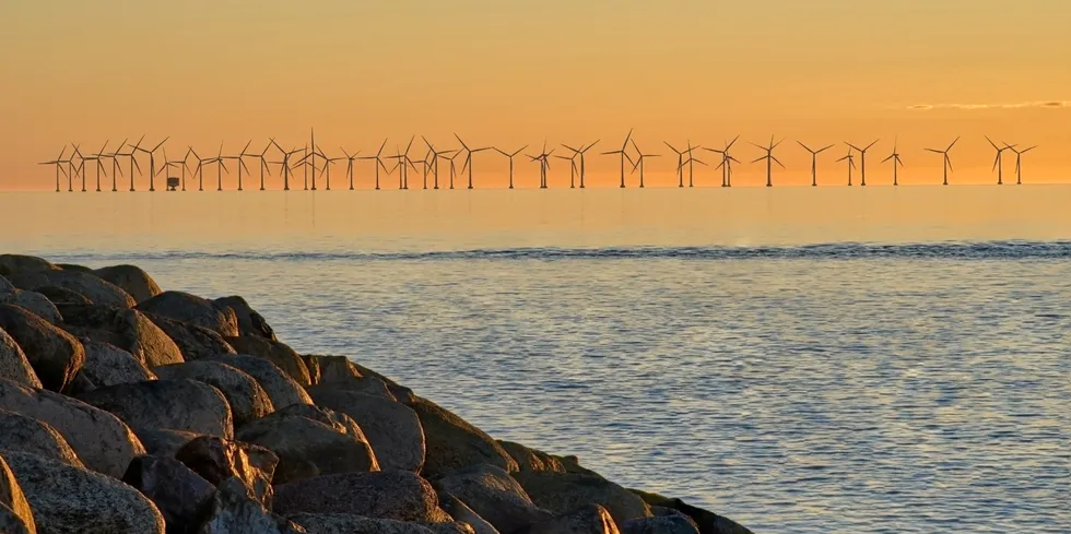 Offshore wind turbines at sunset near the Øresund bridge linking Sweden and Denmark