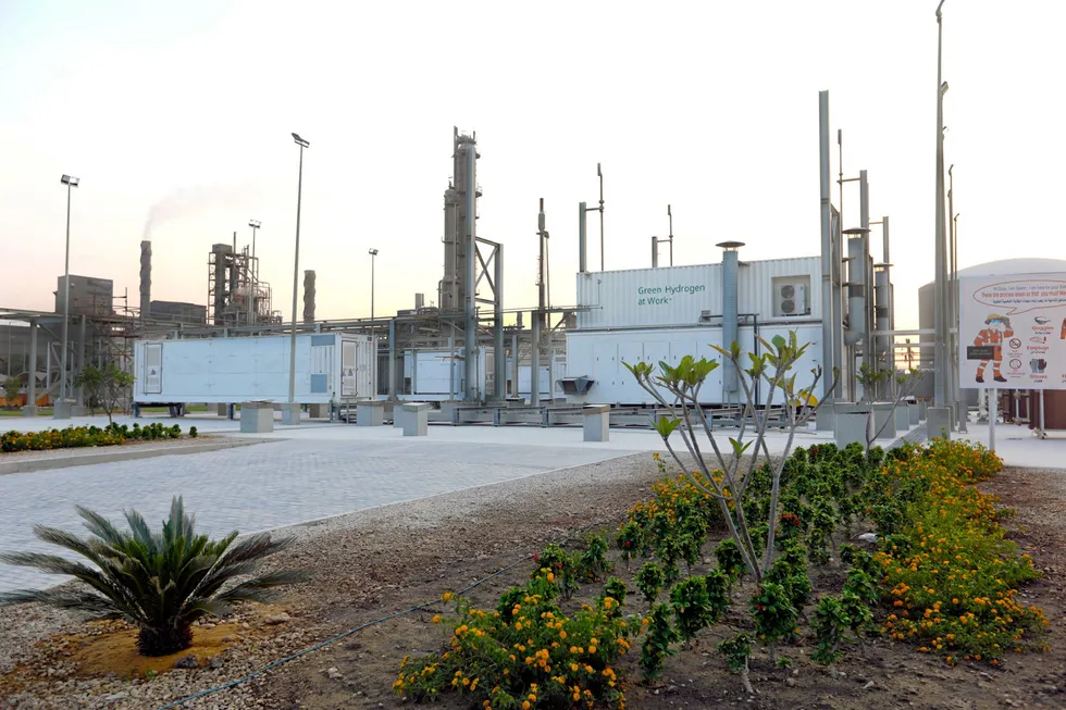 The already-operational pilot phase of Egypt Green.