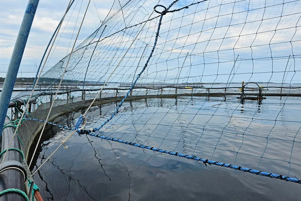 Måsøval sin lokalitet Lamøya utenfor Sistranda på Frøya