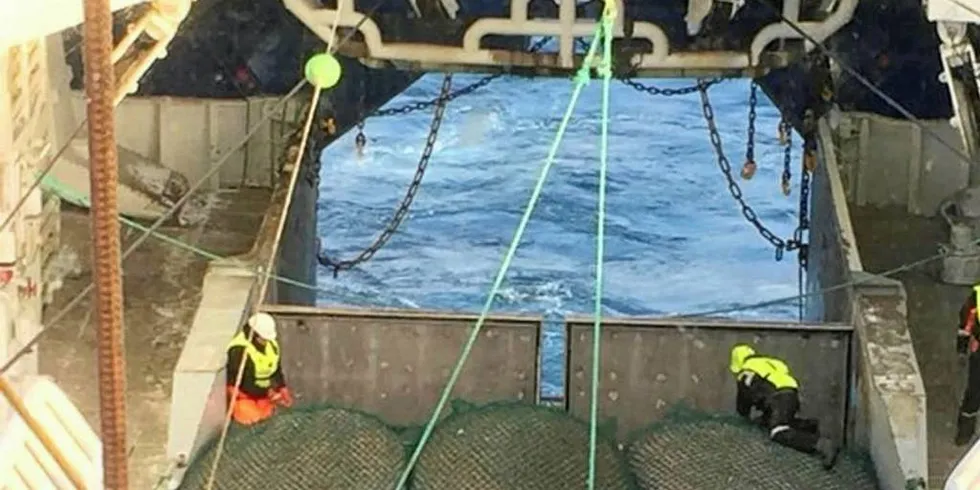 OPTIMISME: Årets rekefiske i Barentshavet vitner allerede om et markant oppsving fra fjoråret. Her Havfisks tråler «Nordtind» i Barentshavet.Foto: Havfisk
