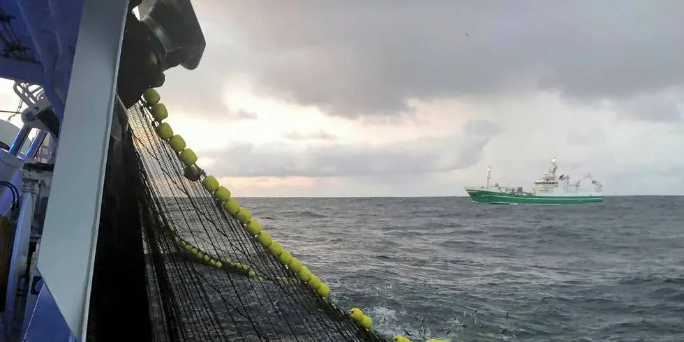 PÅ FELTET: Det har vært stor aktivitet på makrellen sist uke. Her et bilde tatt av mannskap om bord på «Rogne» øst om Orknøyene.Foto: «Rogne»