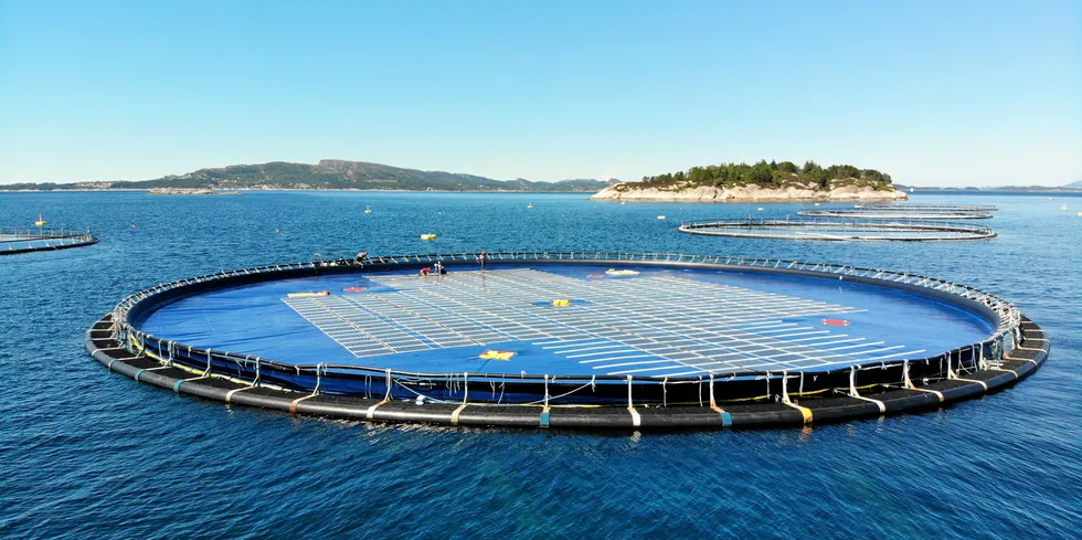 Testanlegg for flytende sol hos Lerøy Sjøtroll ved Austevoll.