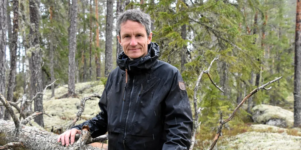 Truls Gulowsen er leder for Naturvernforbundet. Han tror at topologien i Sverige kan ha gjort det lettere å bygge ut vindkraft der enn i Norge, men mener også at konsesjonsordningen har vært for dårlig og at vindkraftutbyggerne har gått for offensivt frem.