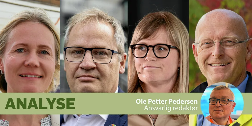 Elvia, Energi Salg Norge, Statkraft Energi og Hafslund Produksjon er blant de aller største operative selskapene innen fornybar energi.