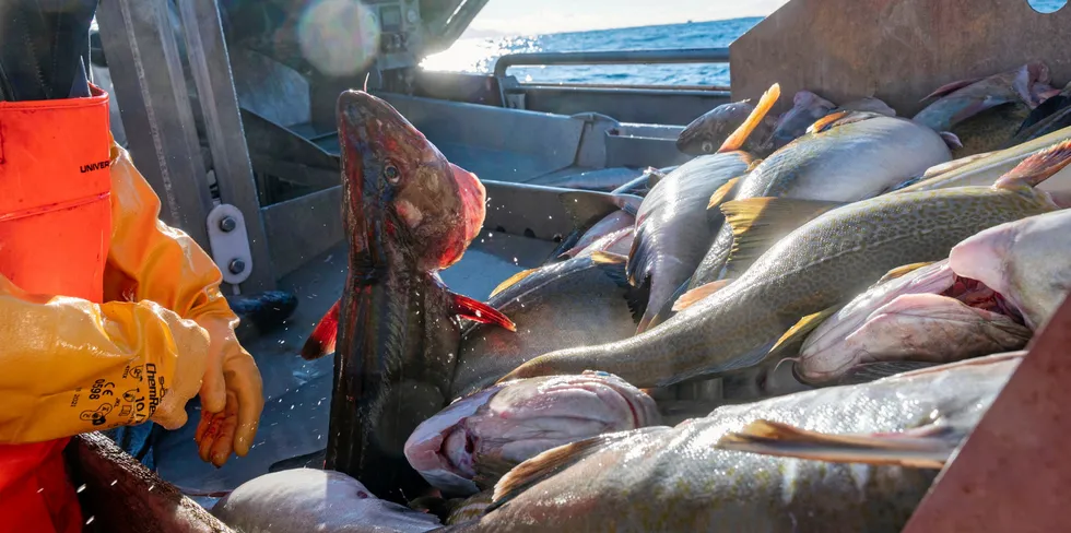 Fordelinga av fiskeressursene mellom landsdeler og fartøysgrupper er svært viktig.