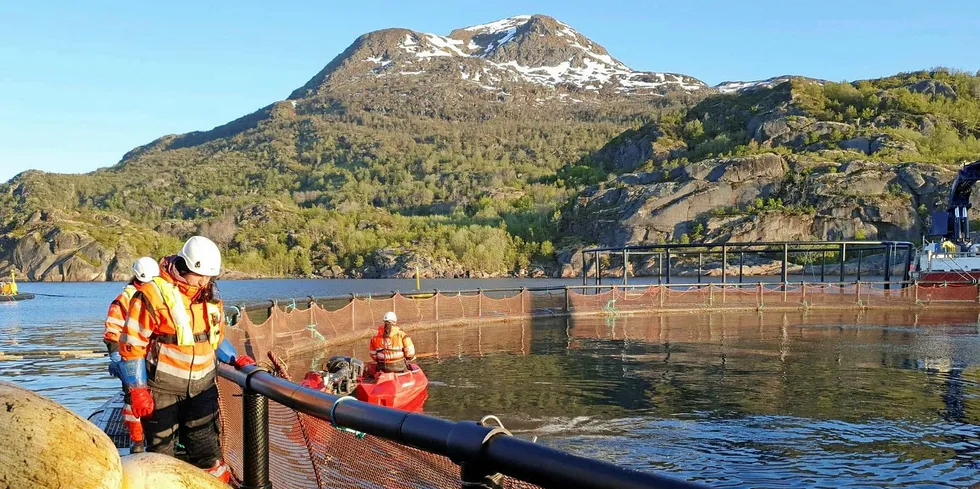 Nordlaks-lokaliteten Kalvhodet ligger vest for Selsøya i Øksfjorden i Nordland. Det er en fjordarm av Vestfjorden og ligger i Lødingen kommune. Øksfjorden er den sørvestligste av fjordene på Hinnøya, som er Fastlands-Norges største øy.