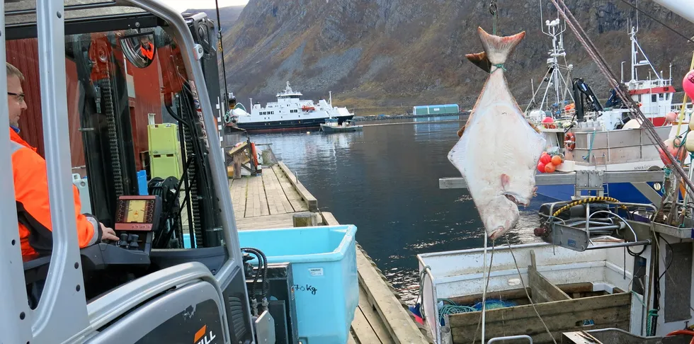 Minsteprisen på kveite suspenderes på grunn av et vanskelig ferskmarked.