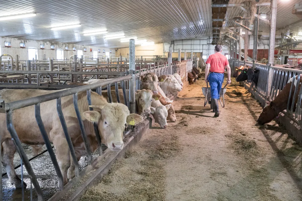 Å frede norsk kjøttproduksjon har gått fra å være et dyrt og ineffektivt politisk offer, til å bli den største trusselen i den norske klimakampen.