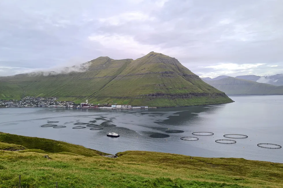 Fôrfabrikken til Bakkafrost, Havsbrun, ligger i Fuglarfjord på Færøyene. I forgrunnen er et av Bakkafrosts oppdrettsanlegg. I første kvartal ble selskapet marginvinner blant de børsnoterte lakseprodusentene.