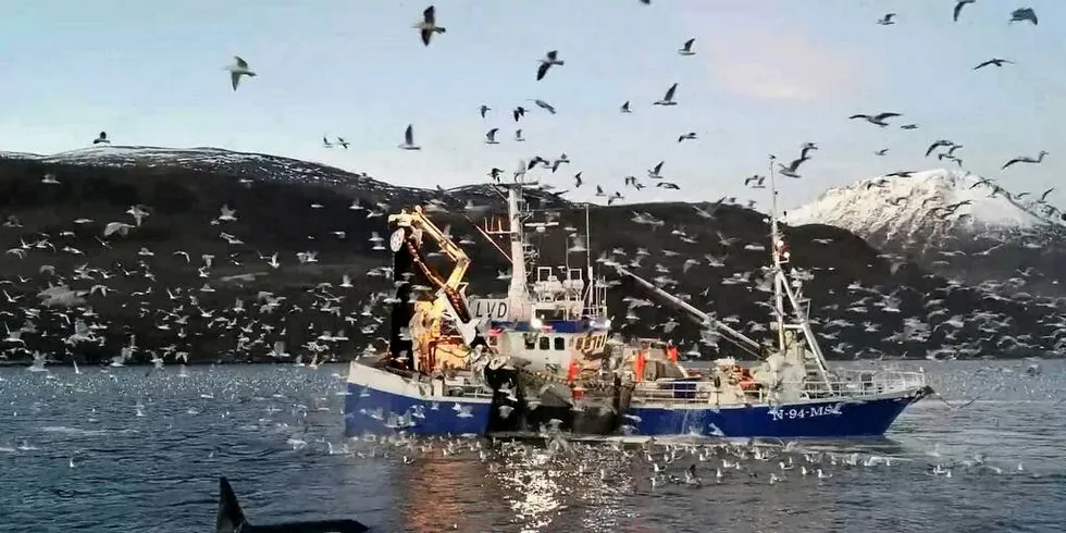 SIT LANGT INNE: - Vi i pelagisk sektor har eigentleg hatt det bra ganske lengje. Det er hardt for ein fiskar å innrømme noko slikt, skriv Arve Myklebust i denne kommentaren.Foto: Skjermdump frå Fiskeridirektoratets video/Jørgen Ree Wiig