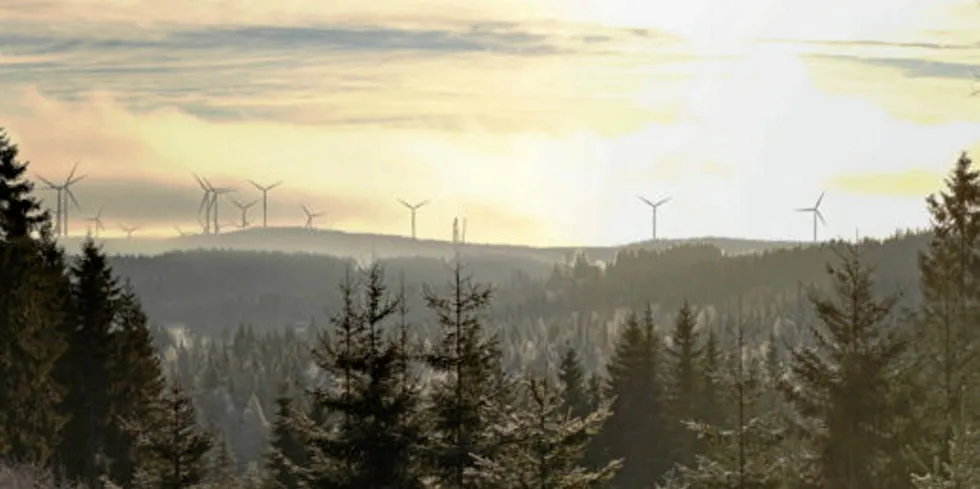 Odal Vindkraftverk skal bestå av 34 vindturbiner, på Engerfjellet og Songkjølen. Bildet er fra sistnevnte.