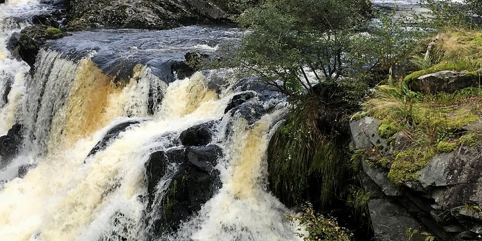 Tar risiko: Stadig mer utenlandsk kapital kommer inn i norsk småkraft. Nå tar utlendingene også byggerisiko. Det er bra og bidrar til en fortgang i utbyggingen, mener Terje Engvik i Småkraftforeninga.