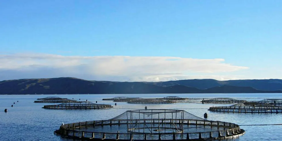 Tassal's salmon fish farm waste system on track to get official nod