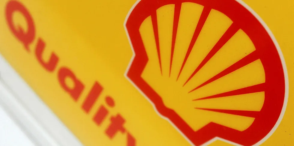 Shell is partnering with two others on the project.