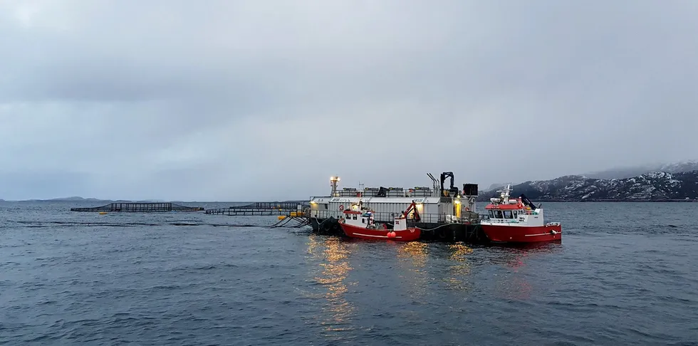 I følge Barentswatch har ingen av lokalitetene til Refsnes Laks i PO6 lagt over lusegrensen i perioden uke 35 til uke 38 i år. Her et glimt fra en av lokalitetene til selskapet.