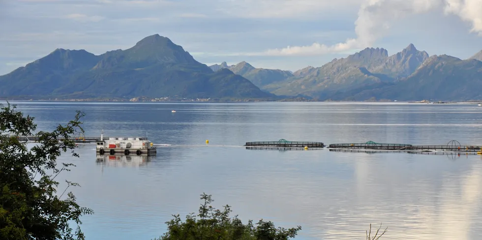 Oppdretterne vil ha større havområder til matproduksjon. Bildet viser lokaliteten Dragnes ved Hadseløya i Vesterålen. Den tilhører Nordlaks. Fjell i Bø kommune i bakgrunnen.