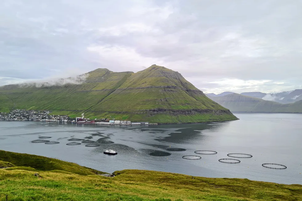 Fôrfabrikken til Bakkafrost, Havsbrun, ligger i Fuglarfjord på Færøyene. I forgrunnen er et av Bakkafrosts oppdrettsanlegg. I første kvartal ble selskapet marginvinner blant de børsnoterte lakseprodusentene.