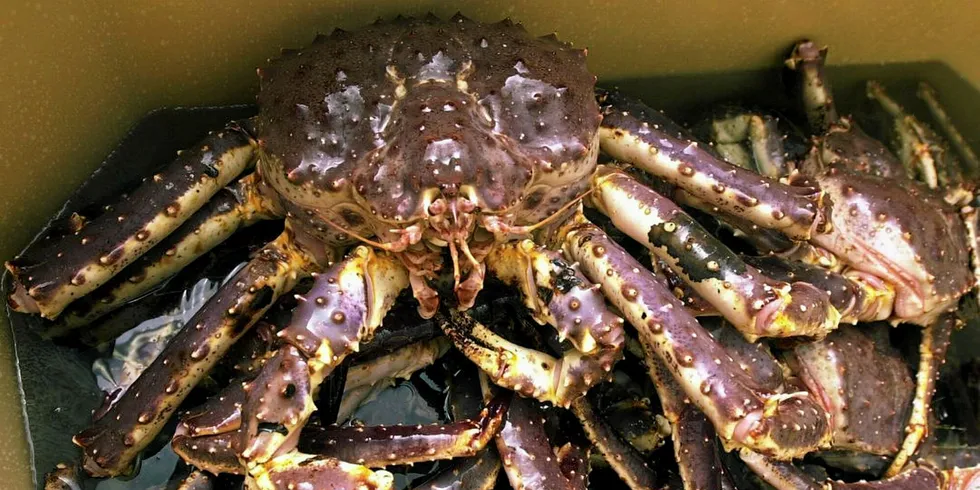 The Russian Fishing Company expands into crab business