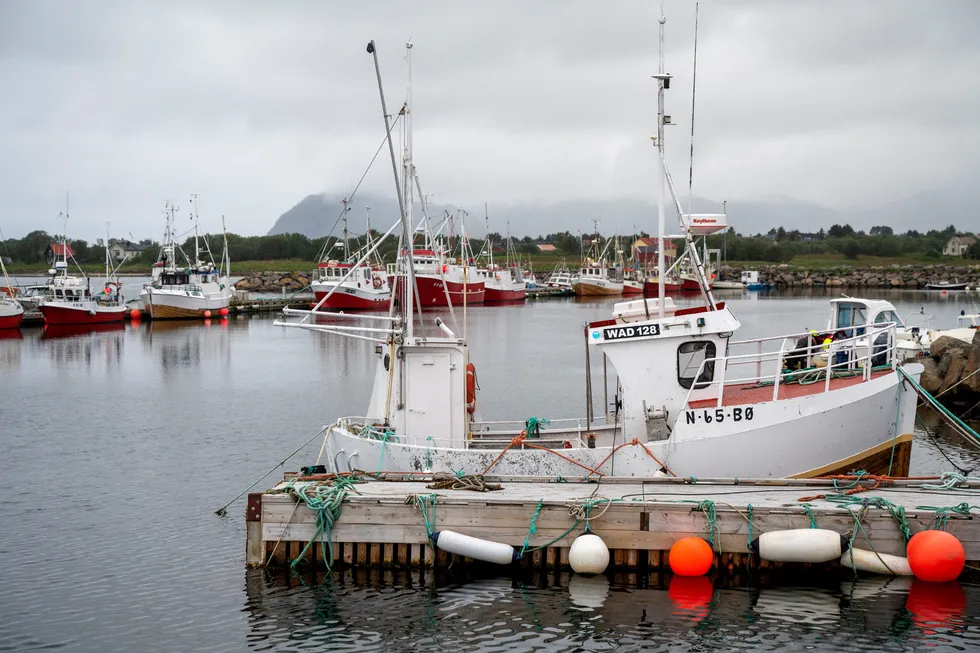 Effektivisering må til om det skal bli grunnlag for grunnrenteskatt i fiske: færre og større enheter i kystflåten og færre havgående fartøy, skriver Audun Maråk.
