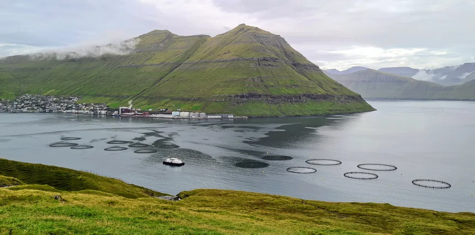 Fôrfabrikken Havsbrun ligger i Fuglarfjord på Færøyene. I forgrunnen er et av Bakkafrosts oppdrettsanlegg.