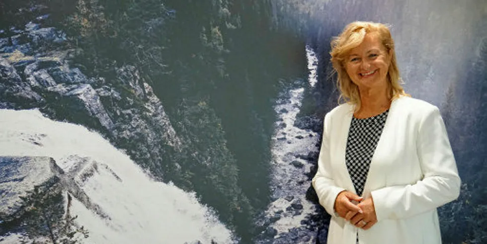Ann-Christin Andersen er valgt til ny styreleder i Glitre Energi AS.