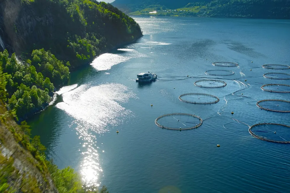 Illustrasjonsfoto av lokalitet. Her fra en Hofseth Aqua-lokalitet.