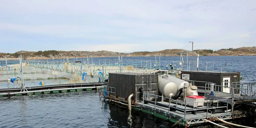 Mang en kommune frå en ekstra vitamininnsprøytning i oktober, når Havbruksfondet foretar sin første store utbetaling. Frøya får aller mest, her fra Salmars anlegg i kommunen.Foto: Anders Furuset/Intrafish