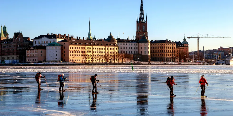 Det var kaldt i Norden 12. februar i år. I likhet med Norge hadde Sverige det høyeste forbruket i løpet av morgentimene denne fredagen.