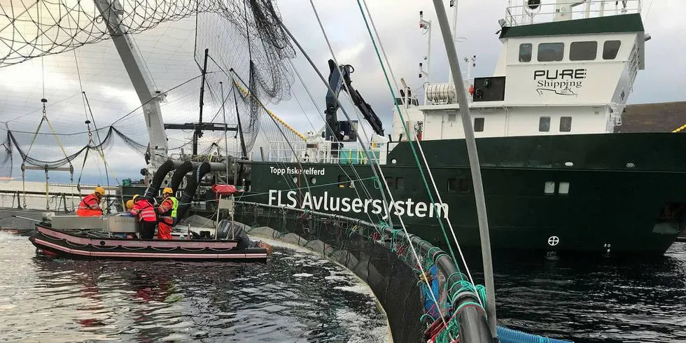 FORBEDRING: Mattilsynet roser oppdrettsnæringen for mindre bruk av kjemikalier ved avlusing. Foto: Pressefoto