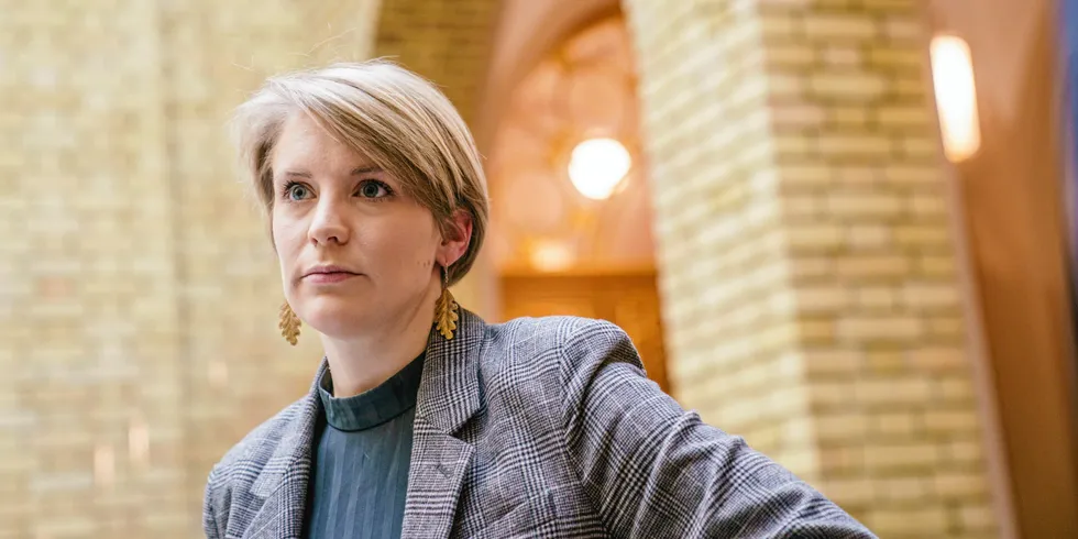 Kari Elisabeth Kaski forteller at SV har fått gjennomslag for at strengere regulering av kraftpolitikken skal være tema i behandling av energimeldingen. Det innebærer ikke nødvendigvis at politikken faktisk blir endret.