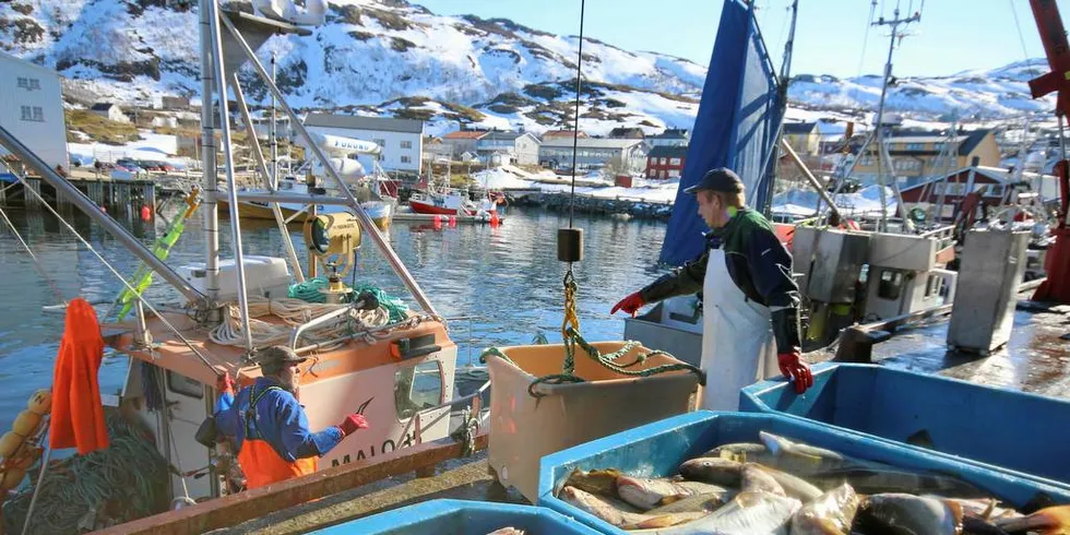 En kaiplass i Breivikbotn ble betydelig dyrere i år, sammenlignet med fjoråret. Her fra vårfisket i 2016.Foto: Arne Fenstad