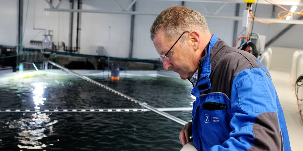 Andreas Kvame er konsernsjef i Grieg Seafood. Her på Tytlandsvik Aqua, som produserer såkalt postsmolt, altså settefisk av laks som produseres til flere hundre gram i tanker på land, før den settes i sjø.