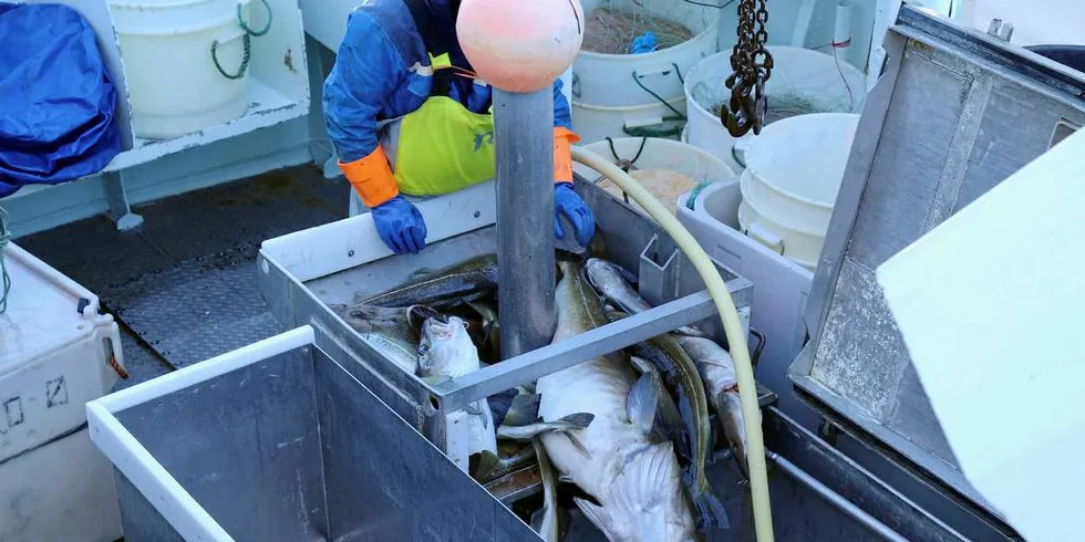 SPYLING: Vannslangen er ofte i bruk under levering av fisk. Dette vannet bør ikke hentes fra et forurenset havnebasseng, fastslår Mattilsynet.Foto: Jon Eirik Olsen