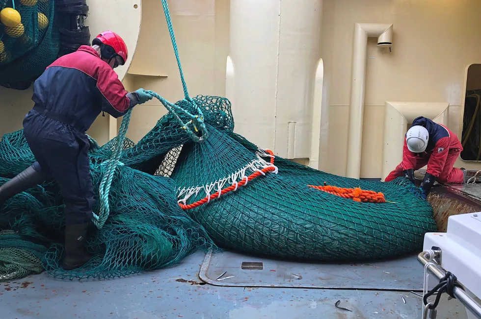 Trålhal med tobis på Eros under Havforskningsinstituttet sitt forskningstokt. Aktiviteten på havet kan bli rammet av budsjettkuttene til instituttet.