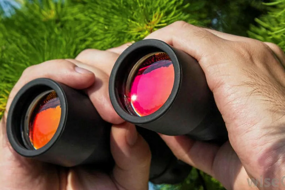 Alternatives: Willbros scopes out options