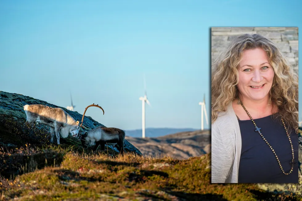 Tidligere Åfjord-ordfører Vibeke Stjern (Ap) var en av lokalpolitikerne som sa ja til utbygging av blant annet Storheia vindkraftverk. Det har gitt kommunen svært store inntekter i form av eiendomsskatt og produksjonsavgift.