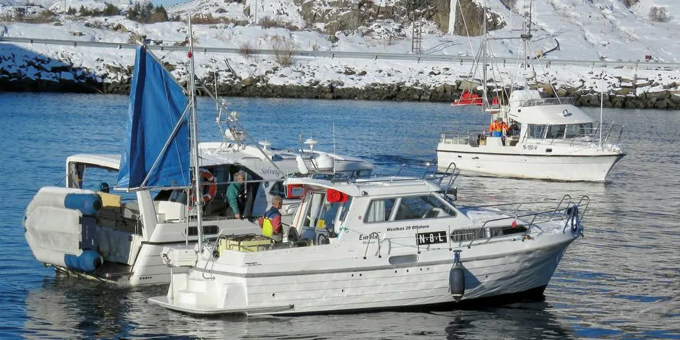 GODE FORHOLD: Åpen gruppe-flåten, her fra Henningsvær, har hatt gode driftsforhold helt fra starten av 2018.Foto: Jon Eirik Olsen