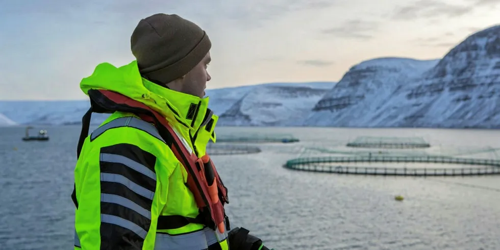 Arnarlax holder til på Island.