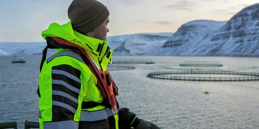 Arnarlax driver oppdrett nordvest på Island