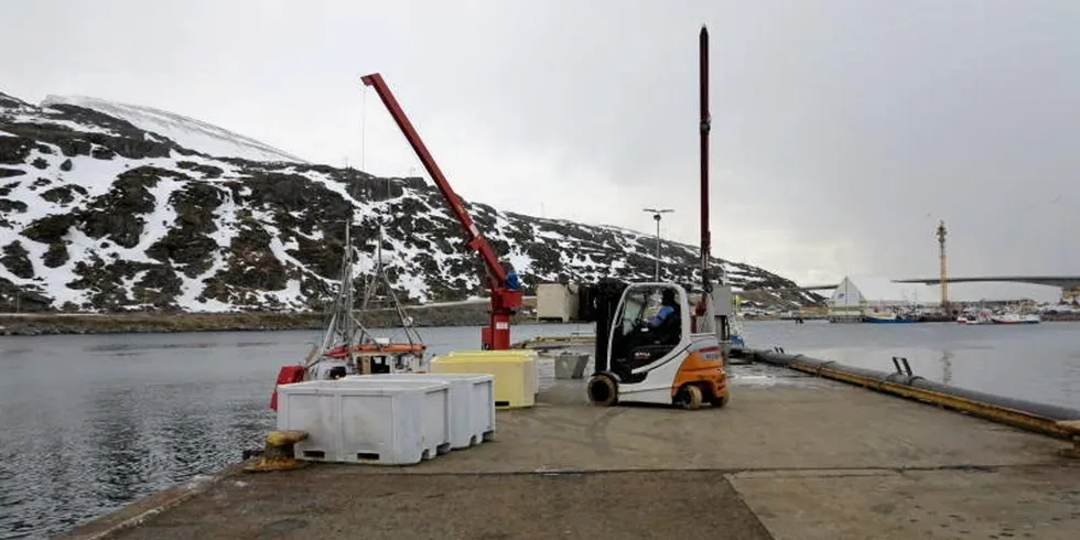 Jangaard har kjøpt seg inn Havøysund Fisk AS i Havøysund i Finnmark. (Arkivfoto).