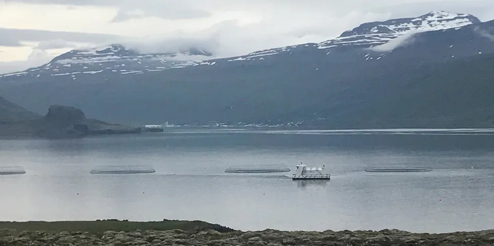 Lokaliteten Gripaldi på Island tilhører Laxar.