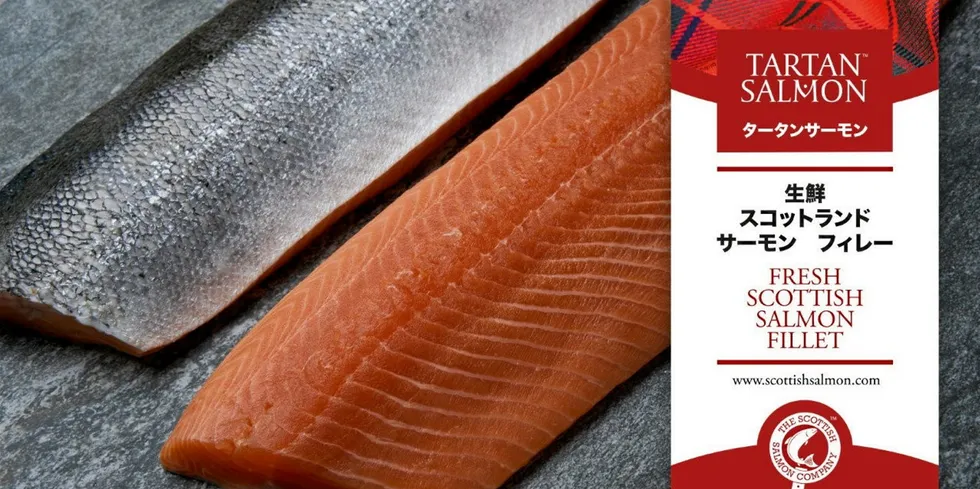 . The Scottish Salmon Company Tartan Salmon.