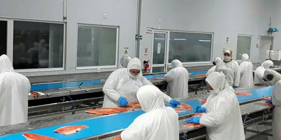 Processors are spacing out workers on production lines to try to prevent coronavirus contagion among a raft of strict hygiene measures.