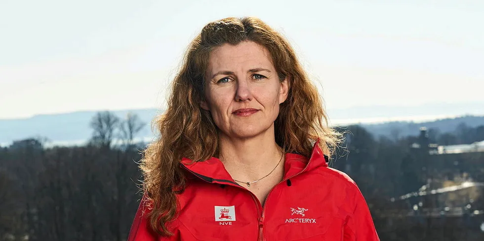 Inga Nordberg, direktør for den nye samlede energi- og konsesjonsavdelingen i NVE.