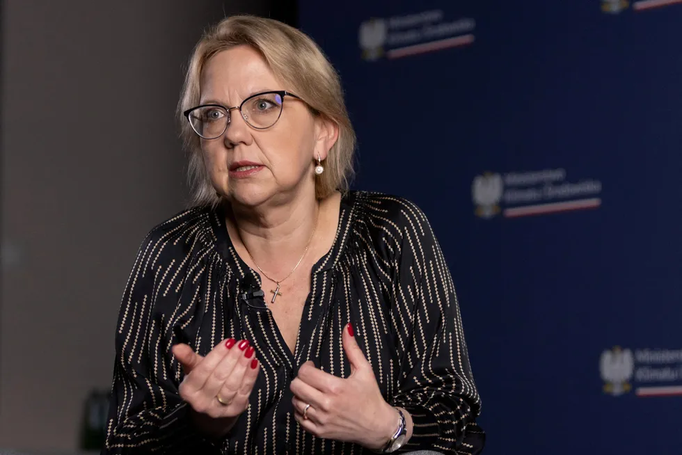 Incomprehensible: Polish minister of Climate an Environment Anna Moskwa.