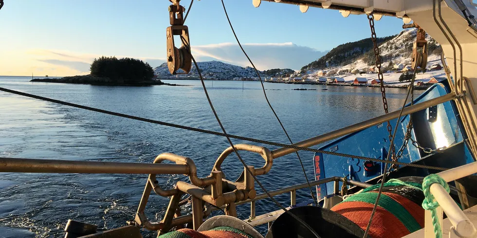 Vinteren 2021 fant forskerne nesten ingen reker på et 16 dagers langt tokt fra Etnefjorden i Hardanger til Stad.