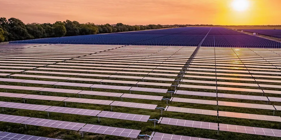 BP's Impact Solar array in Deport, Texas