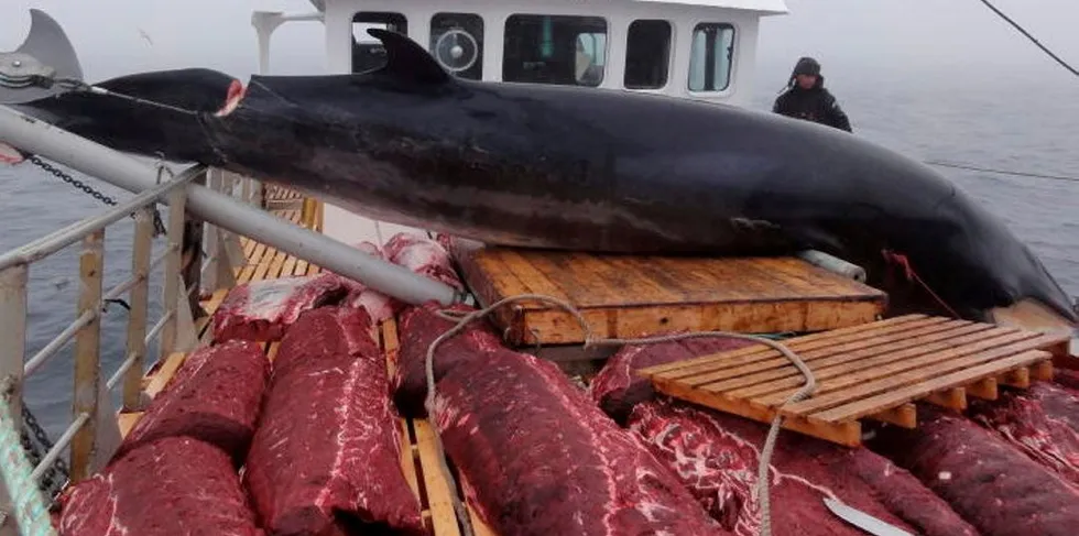 «Rowenta II» har startet årets hvalfangst-sesong. Illustrasjonsfoto: Jørgen Blindheim